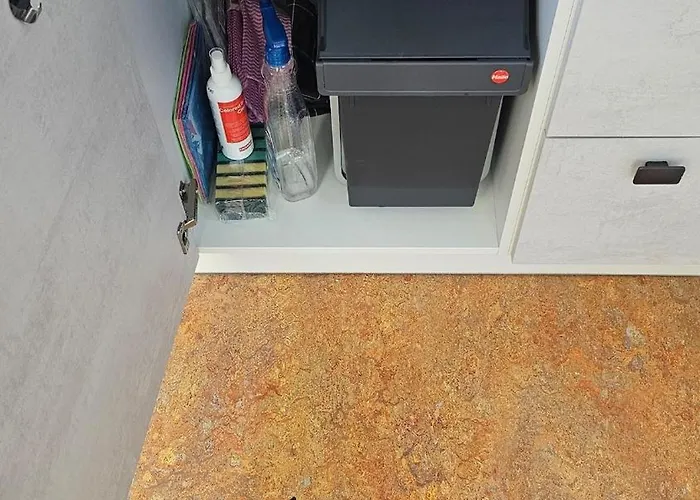 Business انغلهيم ام رين